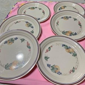 Corelle Abundance dinner plates (6)
